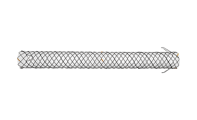 BCG