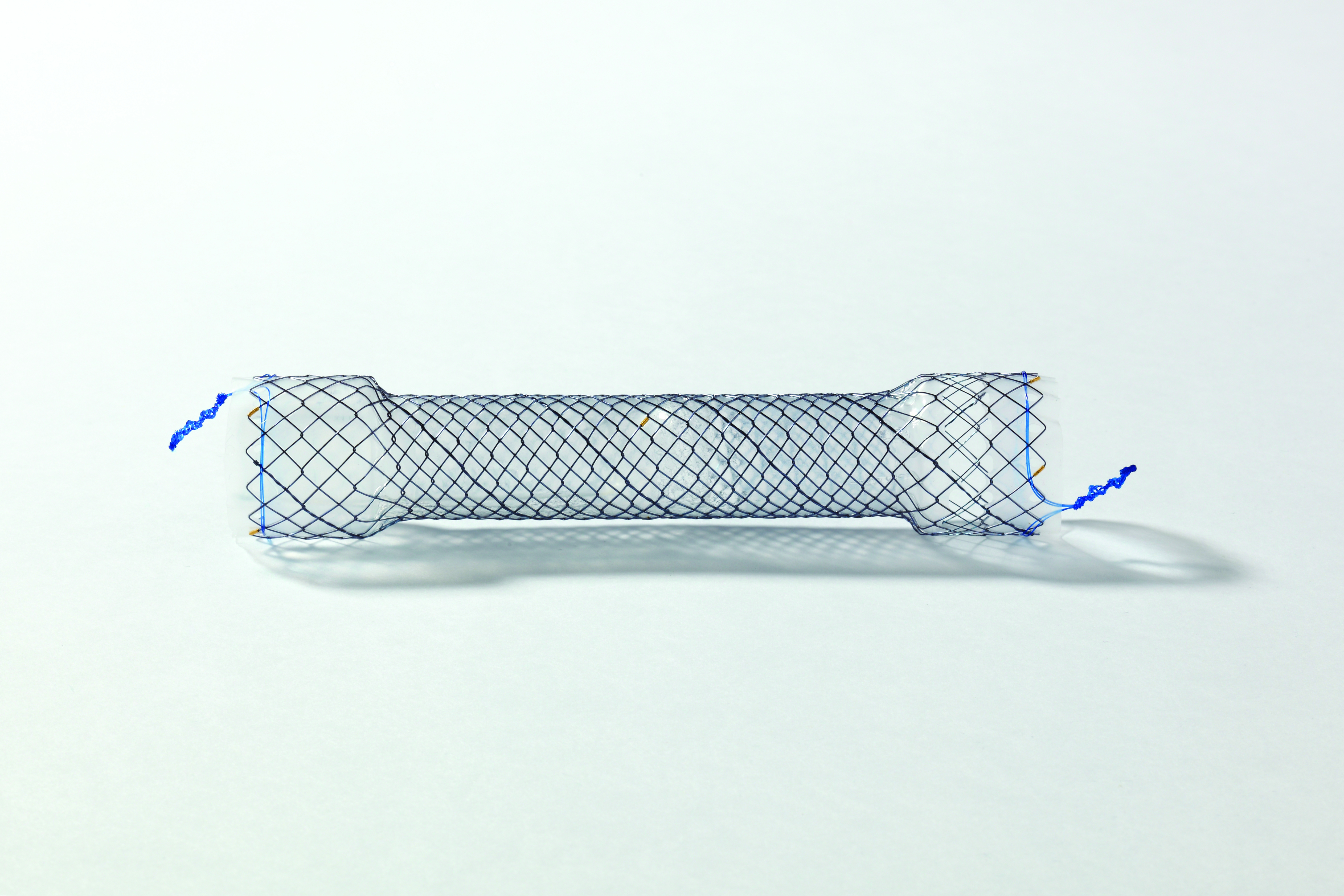EPC HANAROSTENT® Esophagus Valve (CCN)