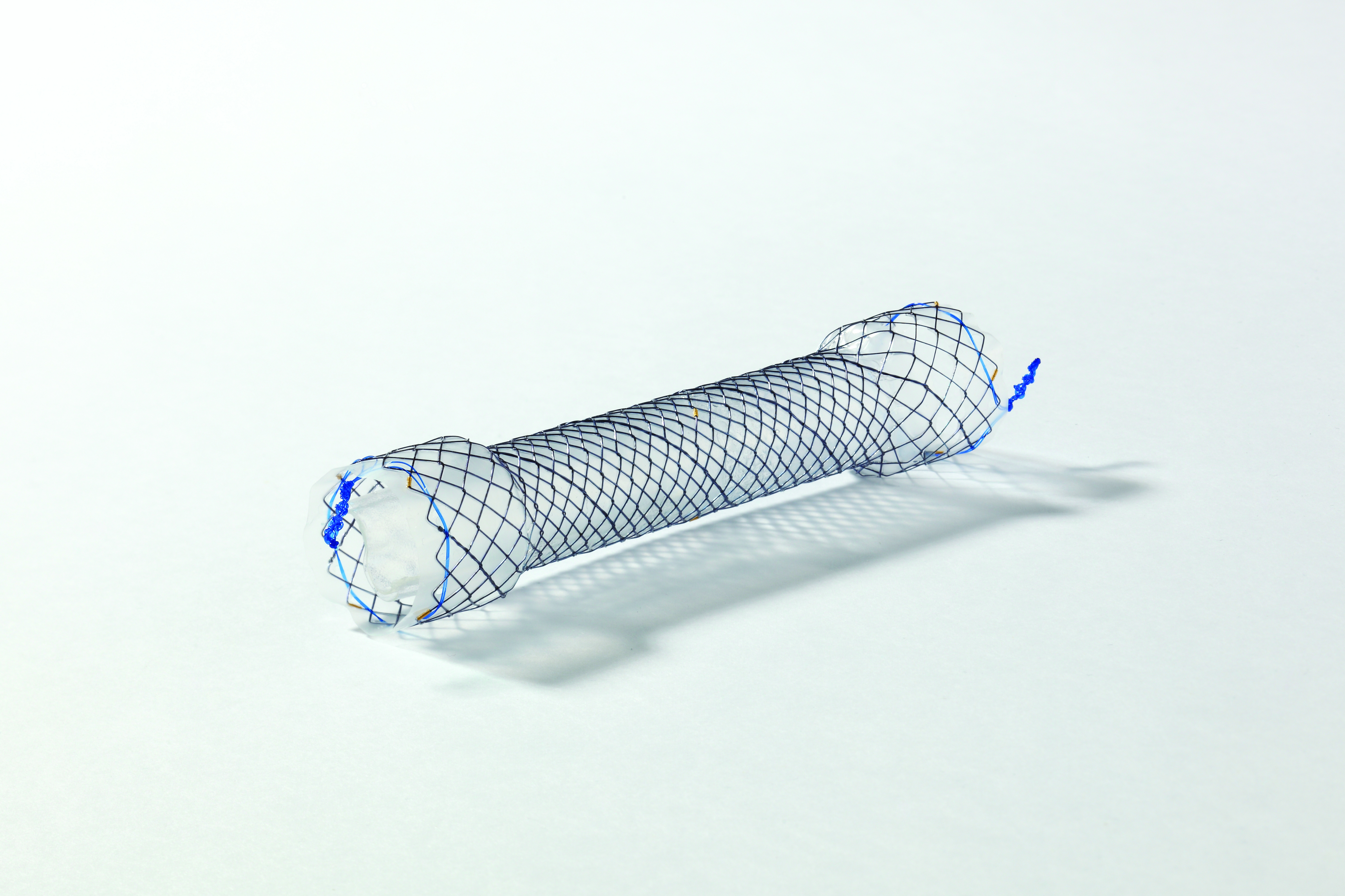 EPC HANAROSTENT® Esophagus Valve (CCN)