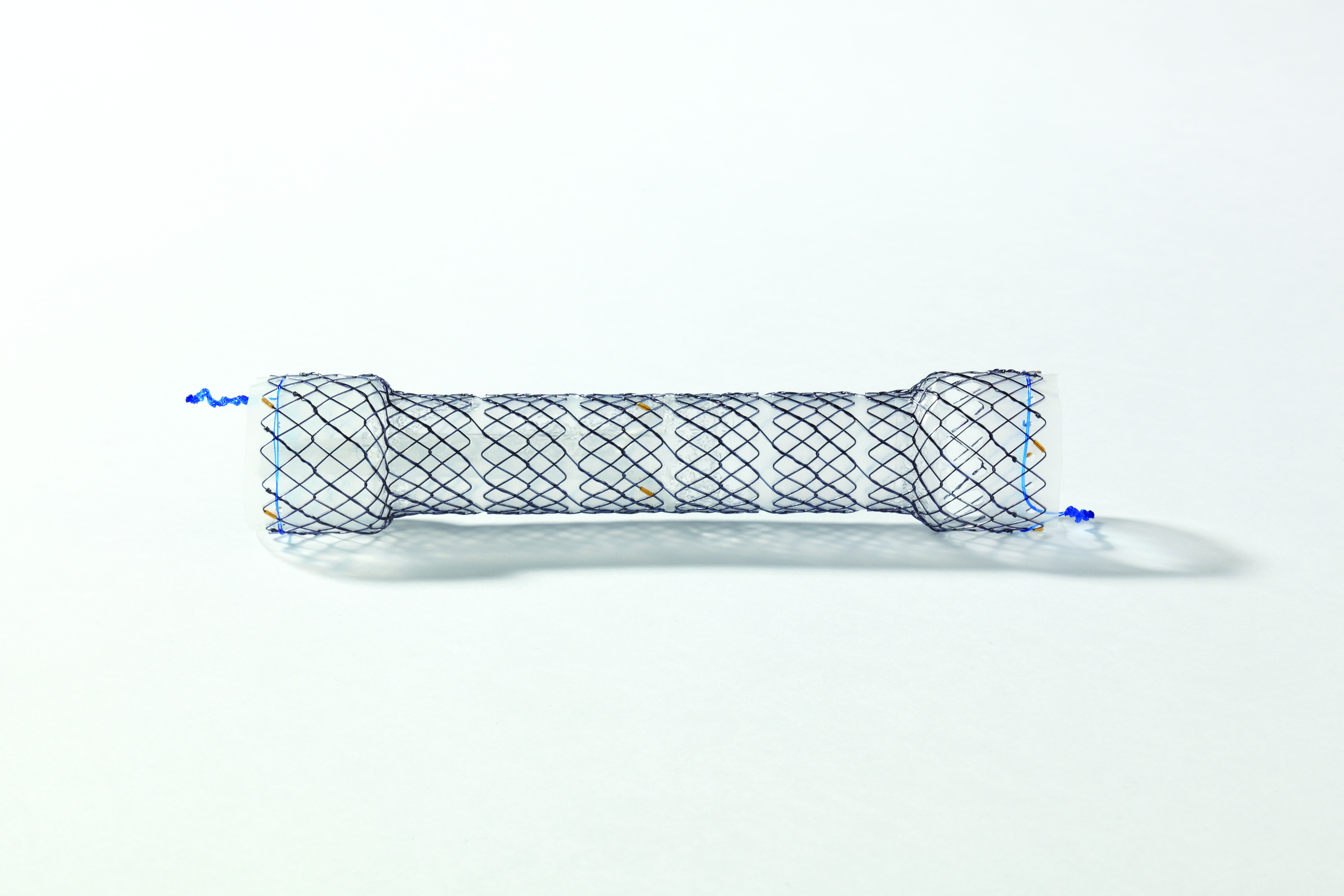 EPF CHOOSTENT® Esophagus Valve (NCN)