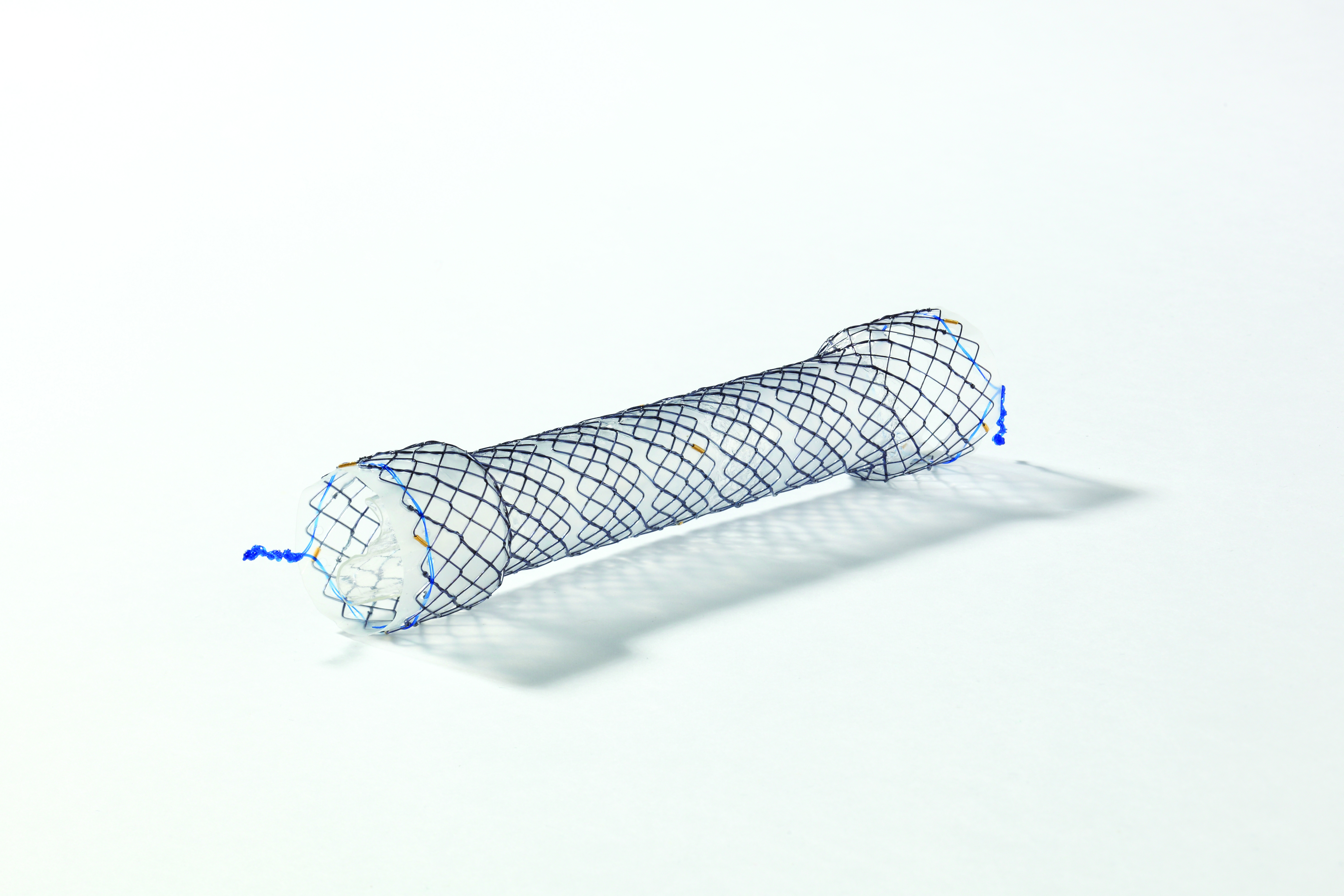 EPF CHOOSTENT® Esophagus Valve (NCN)