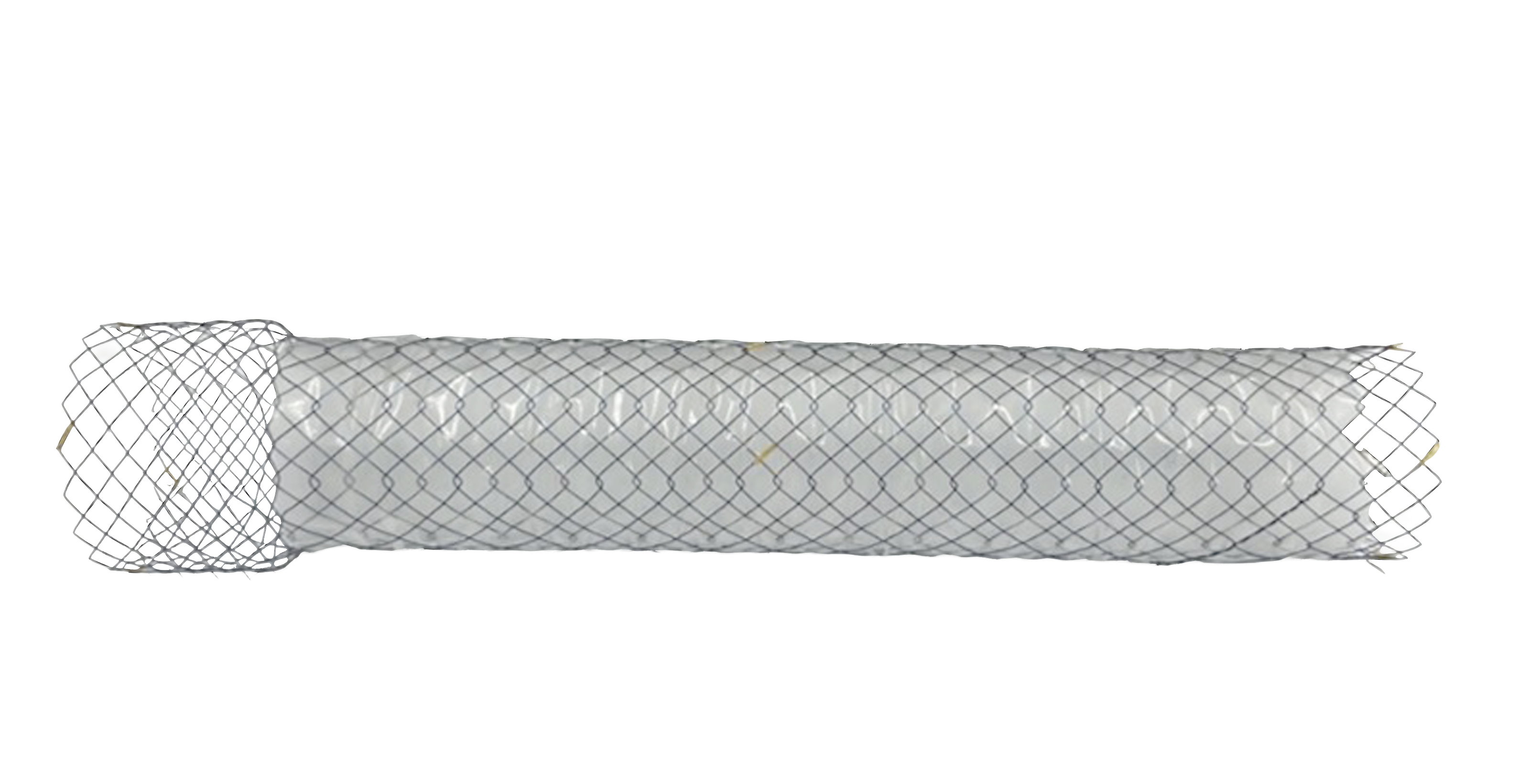CPJF